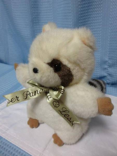 JOYFUL MATES たけのこ/TAKENOKO アライグマぬいぐるみ 26cm(動物