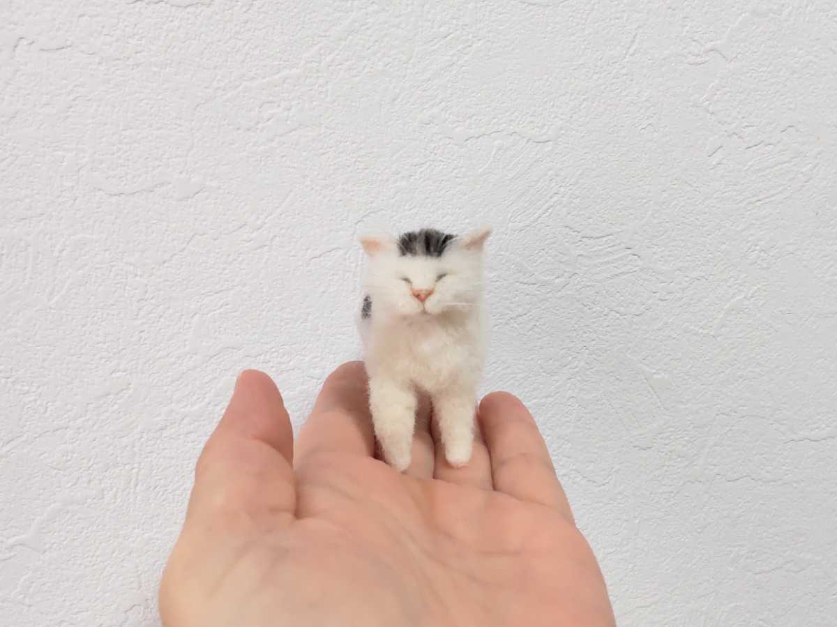 Obu ハンドメイド 羊毛フェルト 猫 キジトラ白猫 和猫 ねこ 立ちポーズ お散歩 手のひらサイズ 羊毛フェルト 売買されたオークション情報 Yahooの商品情報をアーカイブ公開 オークファン Aucfan Com Obu ハンドメイド 羊毛フェルト 猫 キジトラ白猫 和猫 ねこ 立ちポーズ お散歩 手のひらサイズ 羊毛フェルト 売買されたオークション情報 Yahooの商品情報をアーカイブ公開 オークファン Aucfan Com
