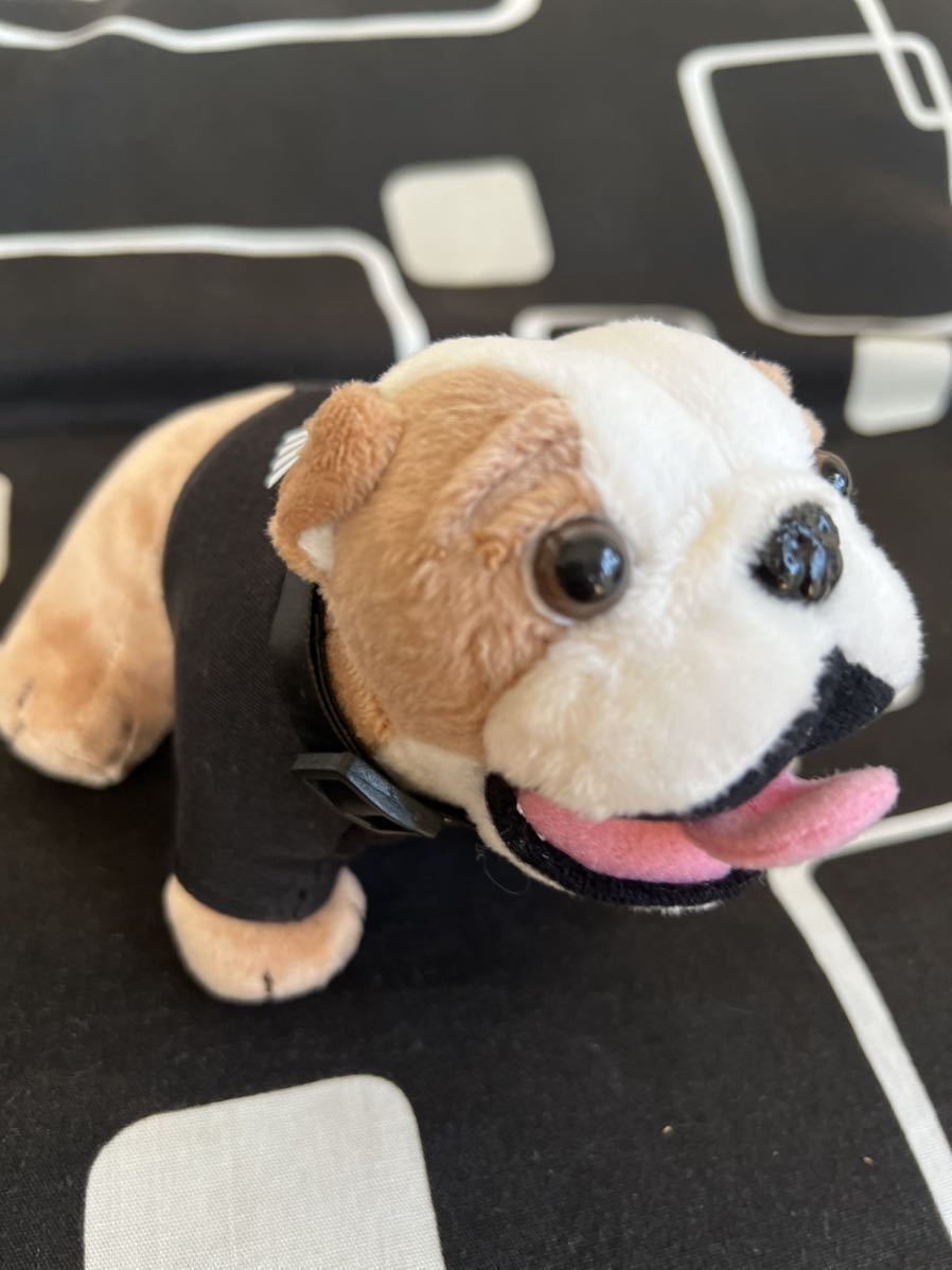 mini ブルドッグ スパイク君 ミニ MINI スパイク君 ぬいぐるみ MINI