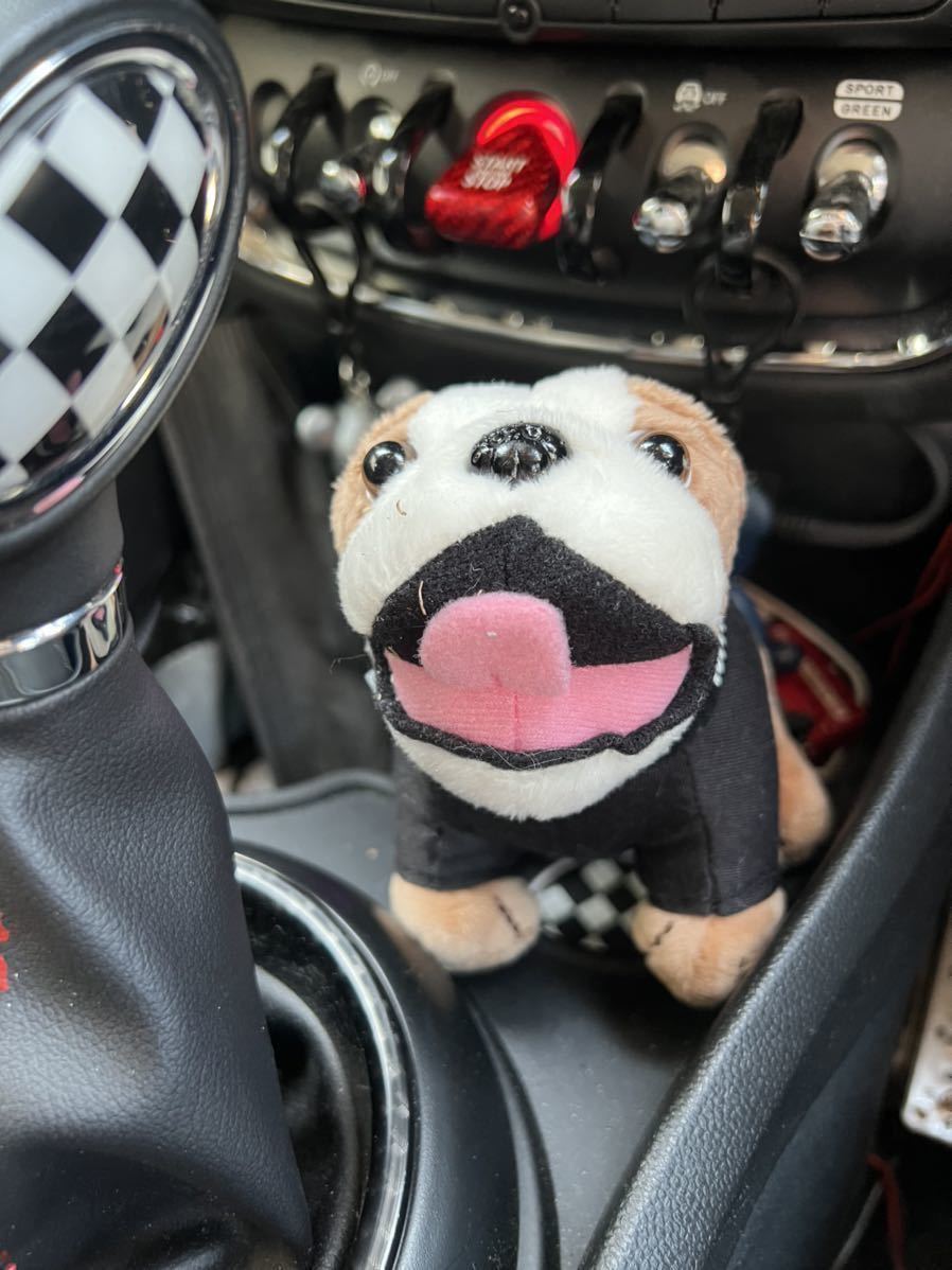 BMW MINI スパイク君 ブルドッグ ぬいぐるみ ミニクーパー F56 F55 F57