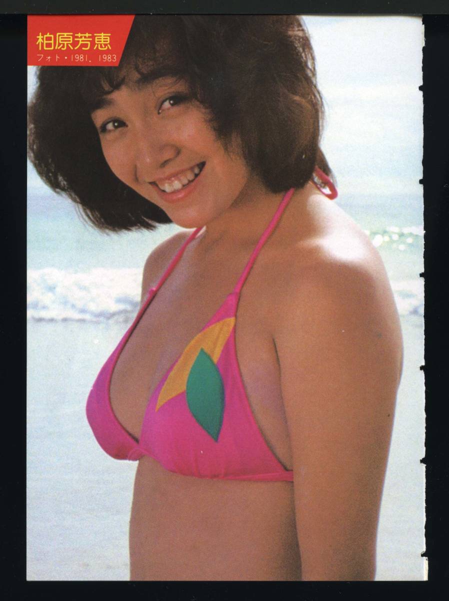 柏原芳恵 切り抜き 12p(タレント)｜売買されたオークション情報、Yahoo