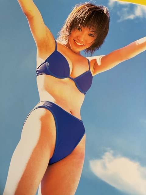 お宝☆眞鍋かをり☆ハイレグ水着グラビア☆切り抜き(タレント)｜売買