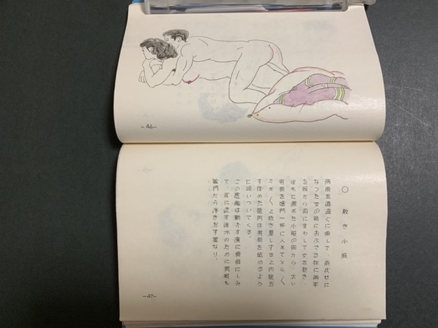 百手秘戯図 手彩色 美術 春画 艶本 秘画 わ印105頁 57図 孔版 体位房中