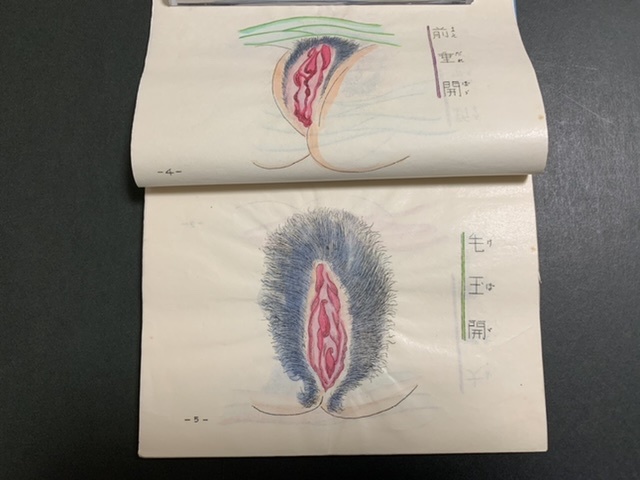 百手秘戯図 手彩色 美術 春画 艶本 秘画 わ印105頁 57図 孔版 体位房中