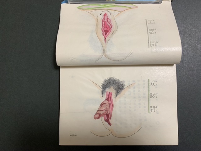 百手秘戯図 手彩色 美術 春画 艶本 秘画 わ印105頁 57図 孔版 体位房中
