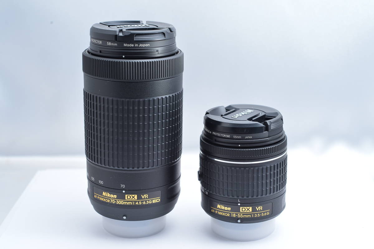 2732 AF-P NIKKOR 18-55mm F3.5-5.6G 70-300mm F4.5-6.3G