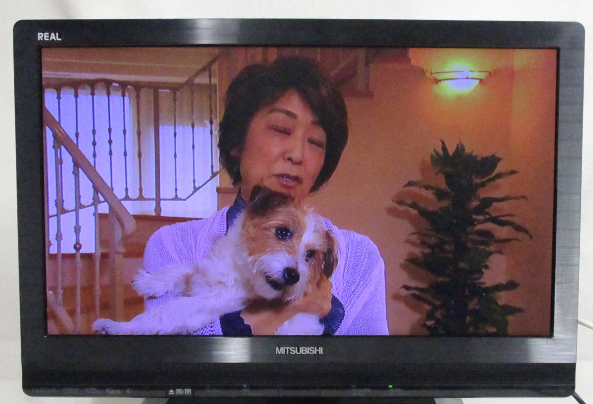 三菱 2011年製 三菱 ブルーレイ＆HDD搭載 液晶テレビ LCD-22BLR500 