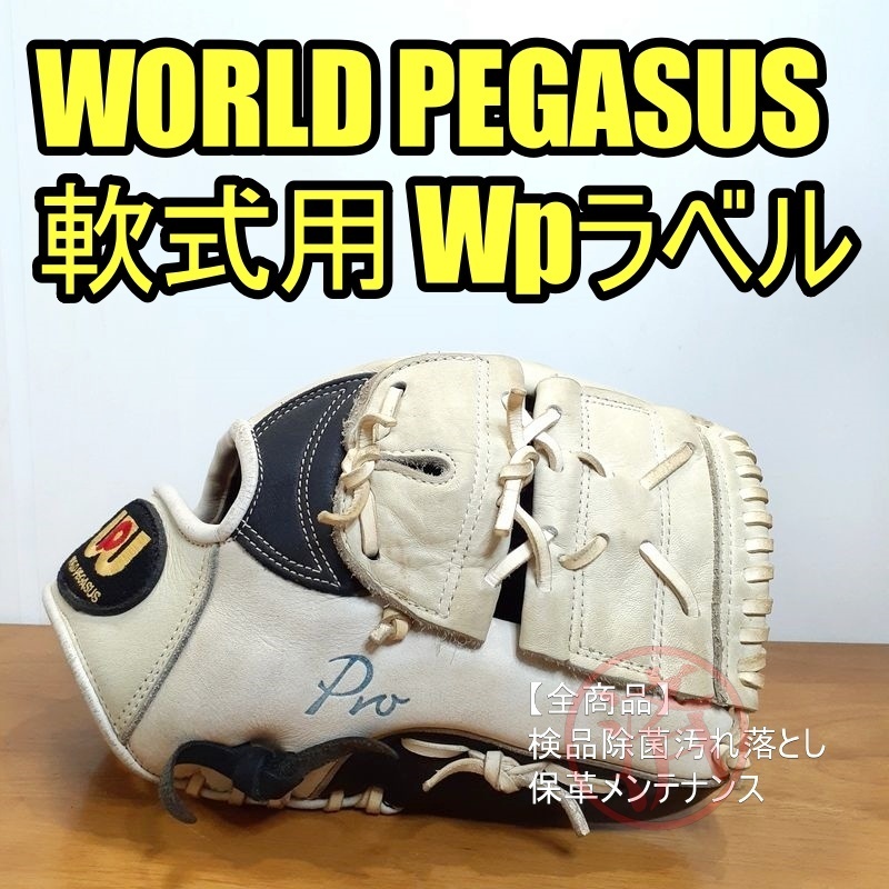 ワールドペガサス アドバイザープロ プロカスタム WORLD PEGASUS 一般 