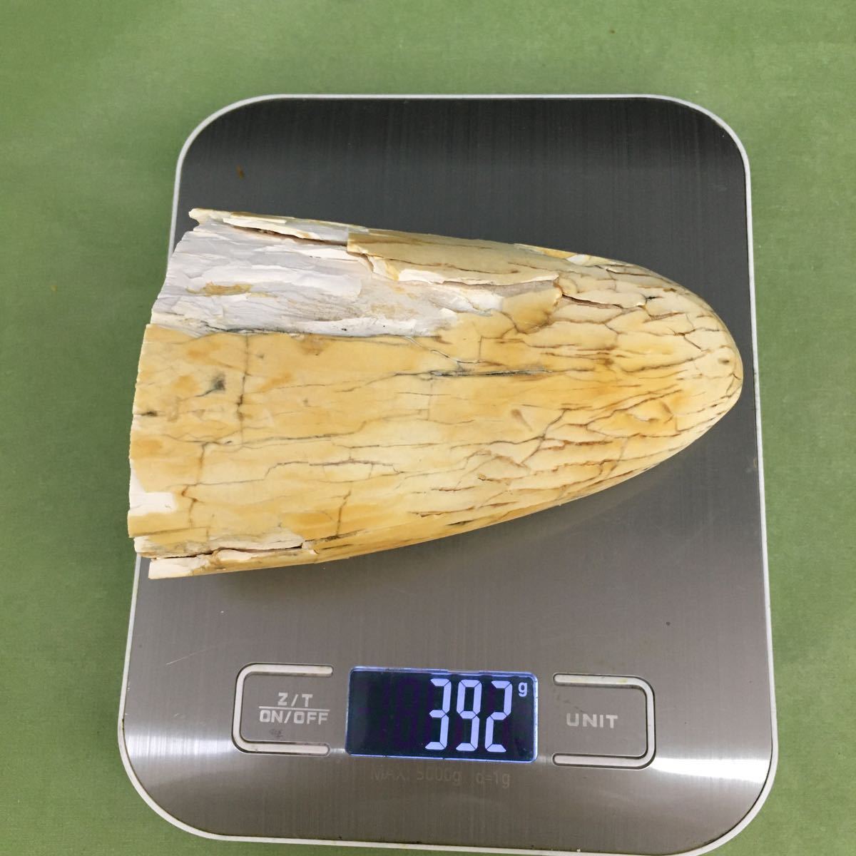 象牙風　象牙色 端材 角先 392g 送料無料 d622-in003