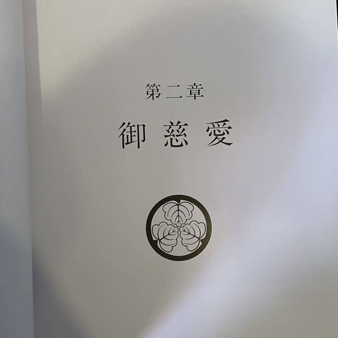 本 霊波之光 御聖跡 b 平成5年3月7日発行 波瀬善雄 波瀬敬詞 貴重 資料