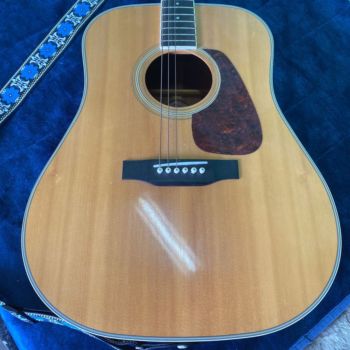 Morris アコースティックギター MD-507 Morris MD-507