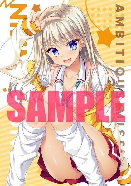 AMBITIOUS MISSION ソフマップ購入特典 AMBITIOUS MISSION ソフマップ 特典 B2タペストリー 有瀬あてな SAGA