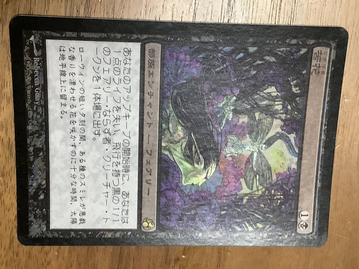 MTG 苦花 日本語 foil モーニングタイド MTG 苦花 日本語 foil