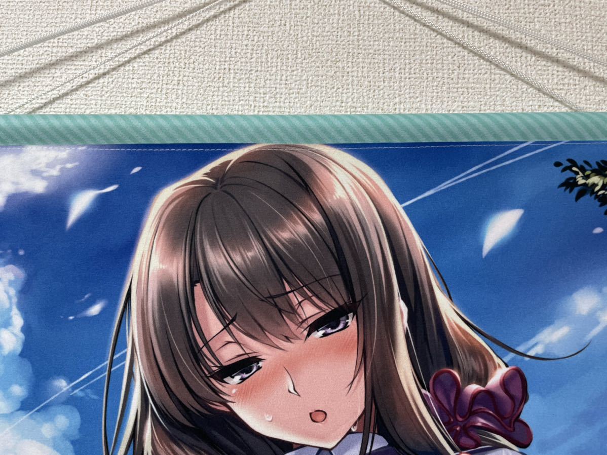 うりぼうざっか店 ピロ水 たくし上げ展2 B2マイクロファイバー 
