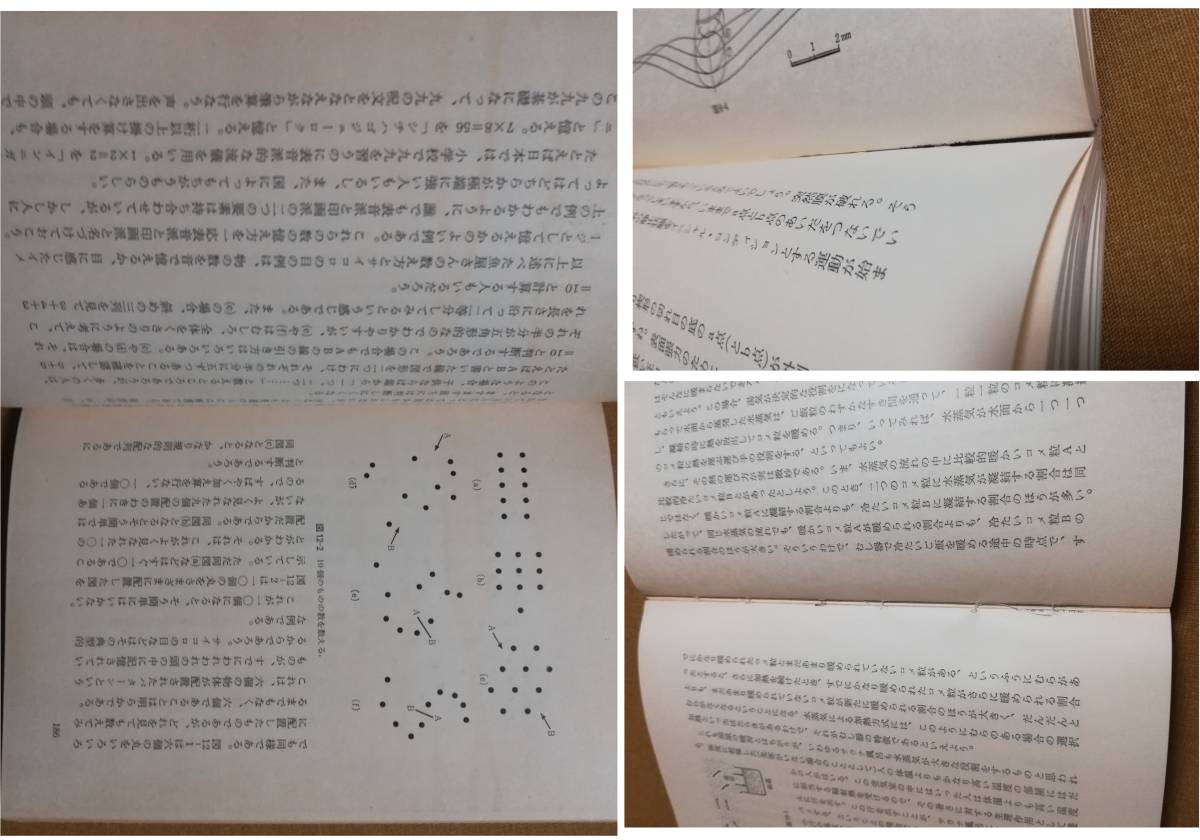 物理の散歩道 新装版 ロゲルギスト: 精選 岩波書店 - 第5 本 第五 青956-