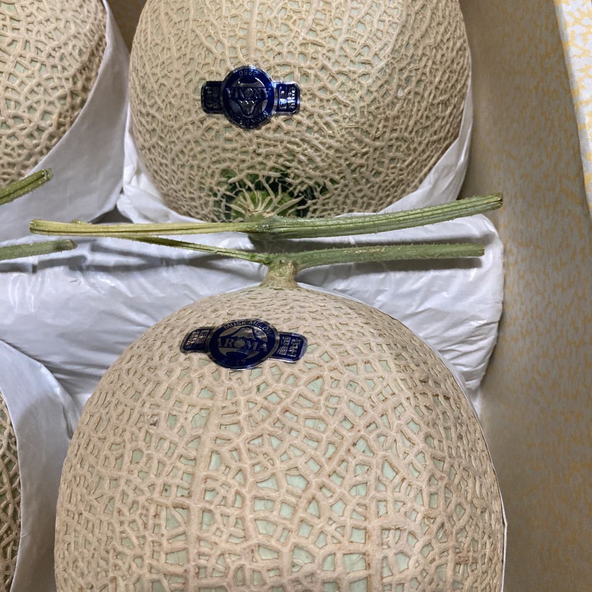 静岡県産 送料無料 静岡県温室農協 マスクメロン MELOX 『アローマ 