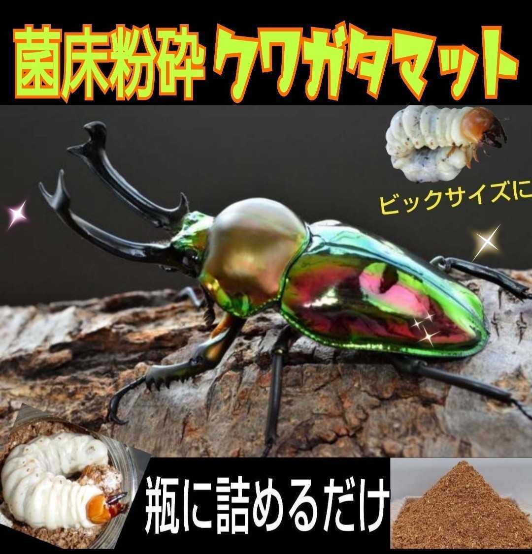☆改良版☆ヒマラヤひらたけ菌床クワガタマット【10L】瓶に詰めるだけ