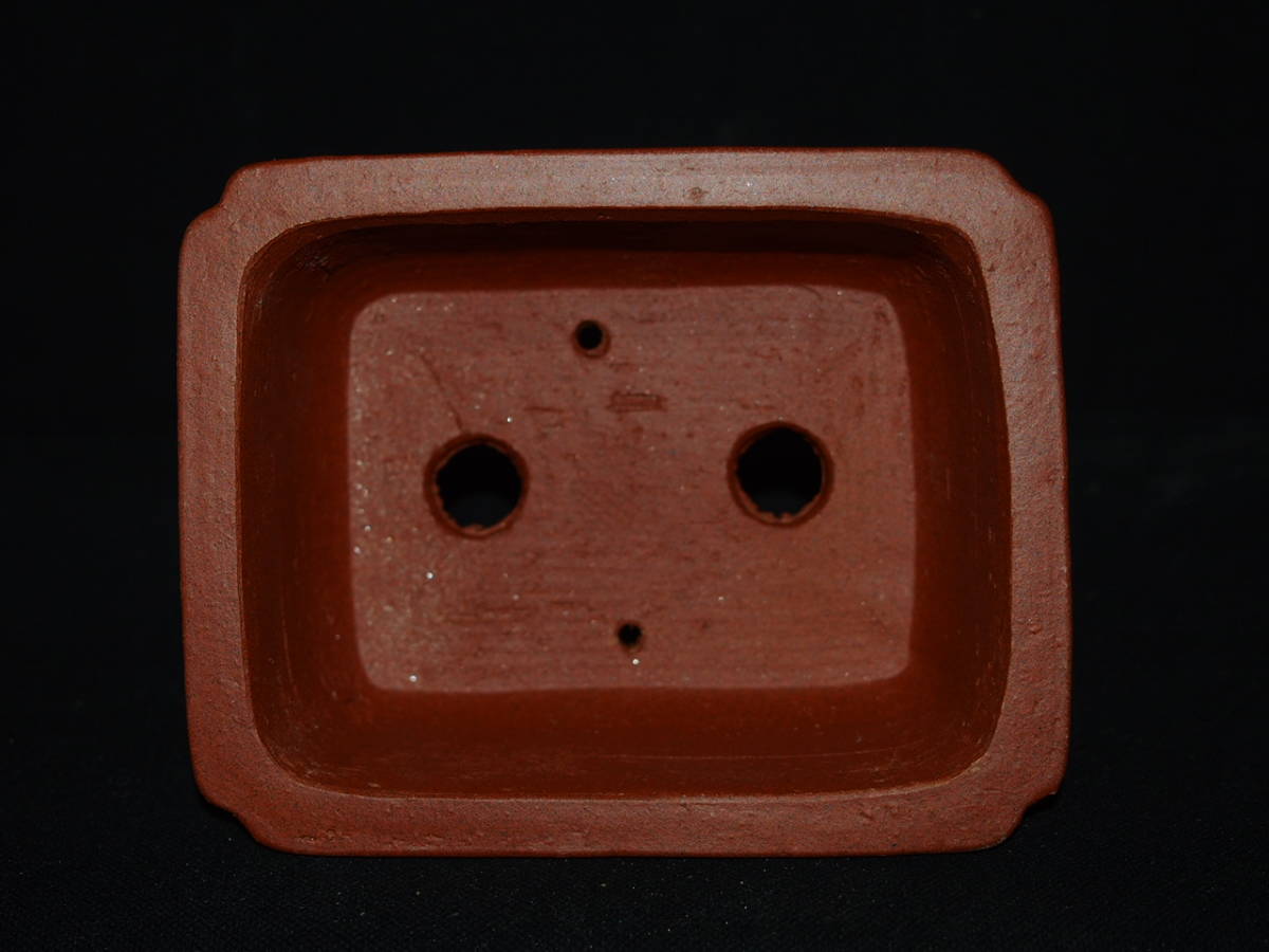 大和魂』【常滑・柴勝】朱泥外縁隅入雲脚長方鉢・巾8.4