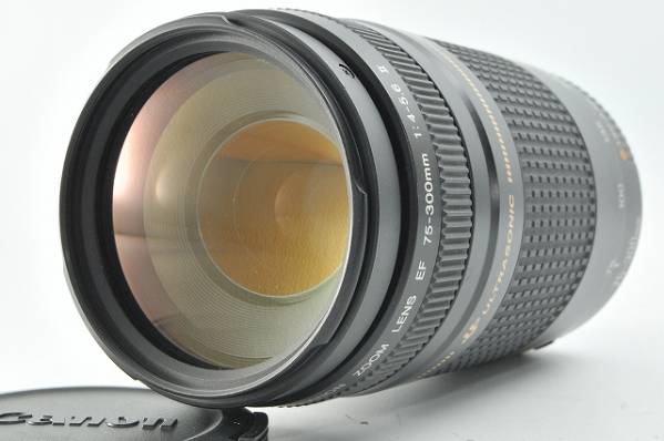 〓実用良品〓 キヤノン Canon EF 75-300mm F4-5.6 Ⅱ USM #622