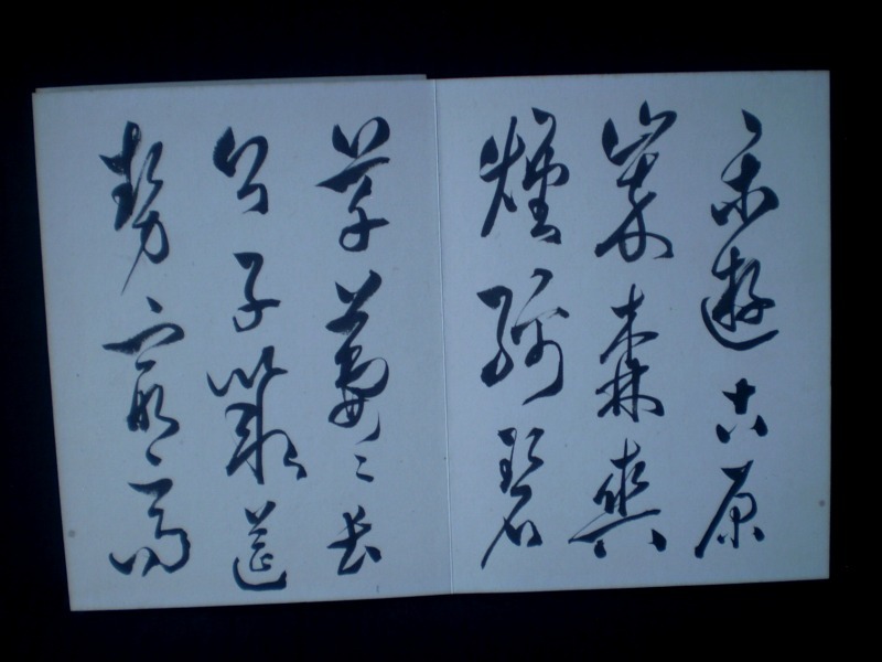 古書、古文書 古本 凱之逸韻 無冰 漢字 水竹邦人画竹