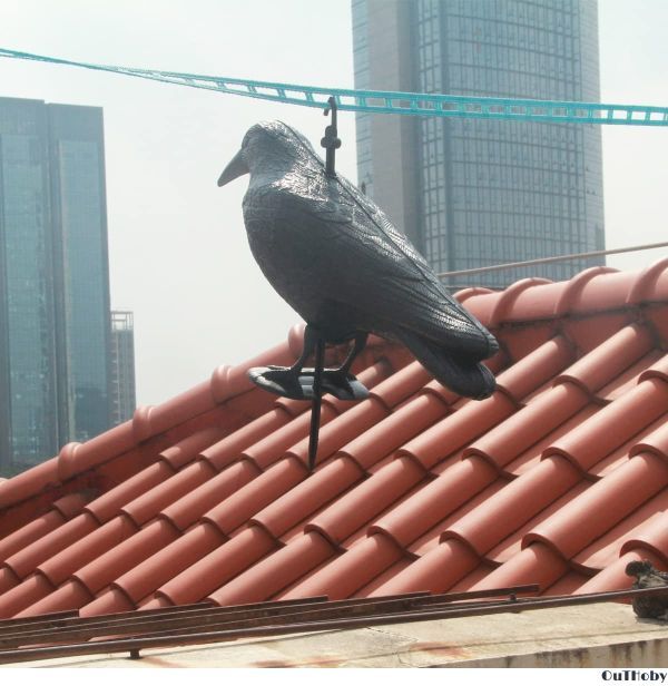 送料無料，安い カラスよけ 38cm ◎ カラス避け 迷惑鳥 撃退 鳥獣害 対策 防止 ◎ 吊るす 吊り下げ ゴミ置き場 菜園 倉庫 ハト スズメ ムクドリ ヒヨドリ