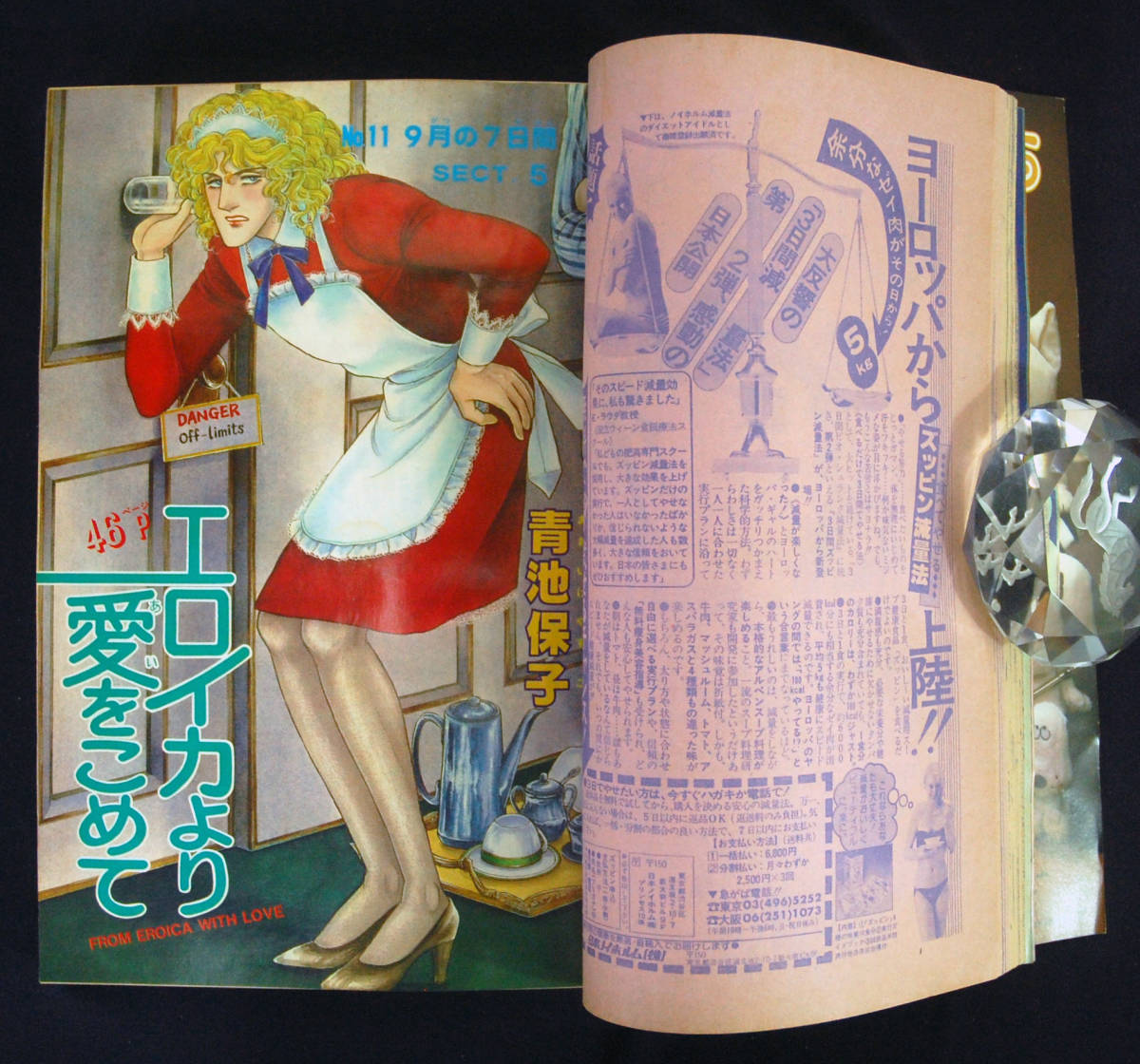 月刊プリンセス 細川知栄子 青池 細川知栄子(王家の紋章⁄巻頭カラー 