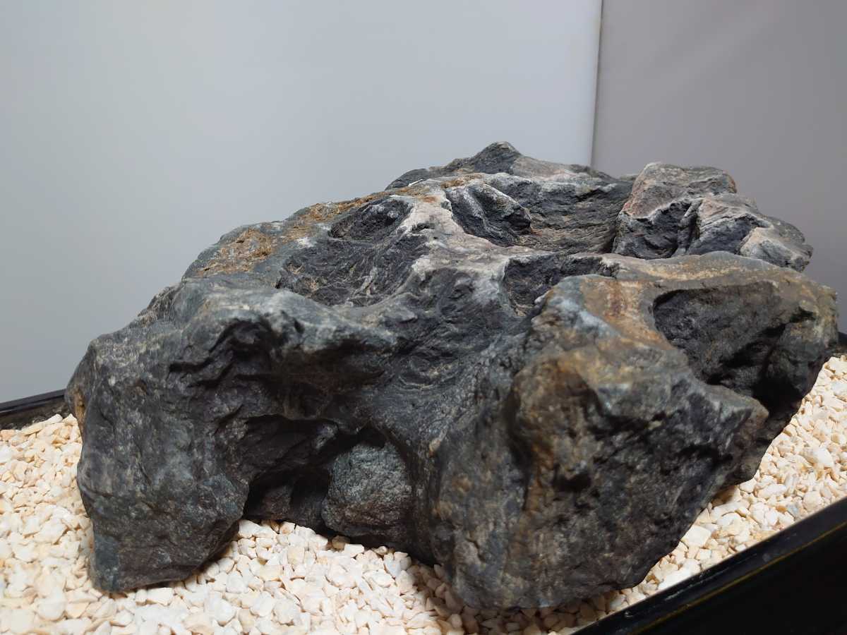 千仏石 鑑賞石 溜り石 5,6kg 盆栽 盆石 自然石(盆栽)｜売買された 