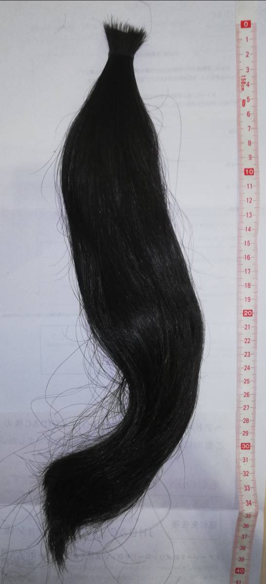 髪束 黒髪 日本人 髪の毛 日本人女性 160g ヘア ヘアドネーション 髪 髪