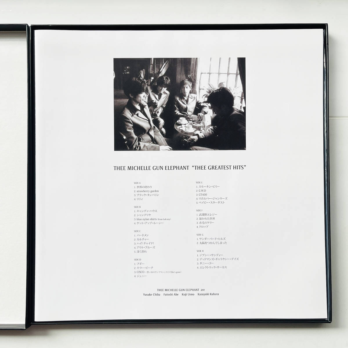 THEE GUN MICHELLE 公式通販 30TH レコード elephant gun michelle