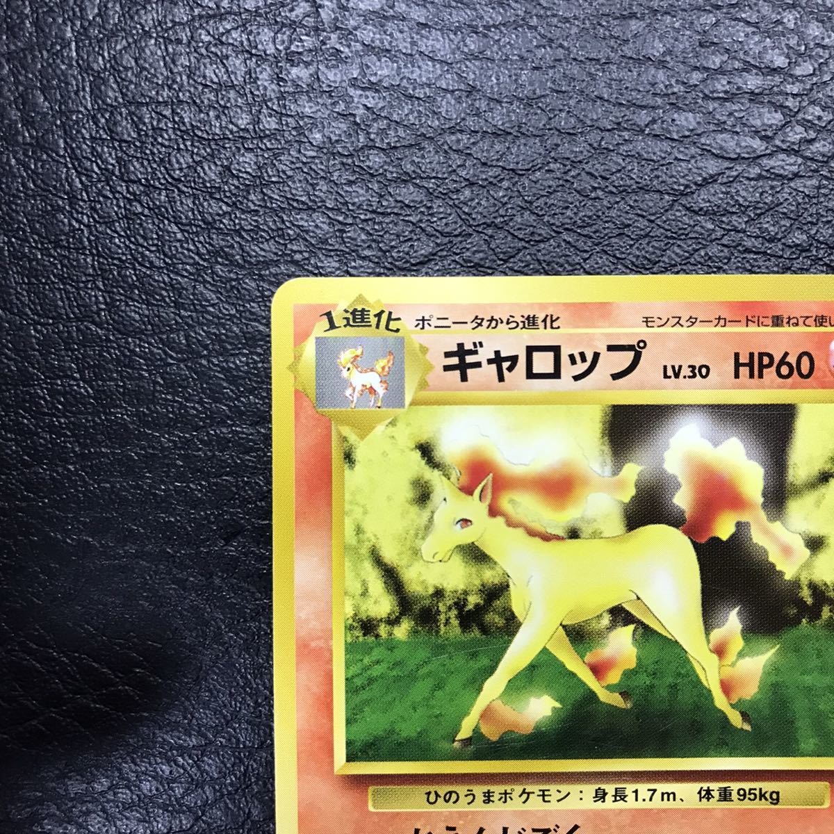 ポケモンカード　旧裏　ポニータ、ギャロップ 264】旧裏 ポケモンカード ポニータ、わるいギャロップ - メルカリ