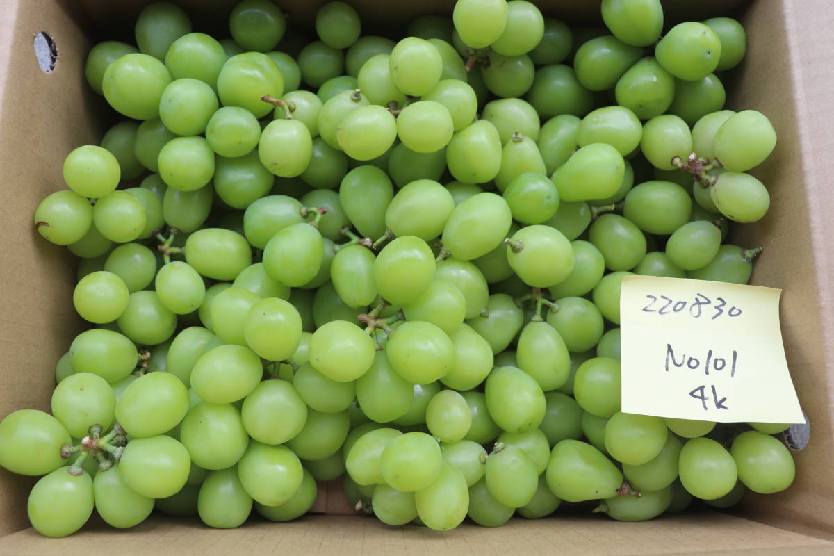 i-img1200x900-1763558347766010dl4ssf8