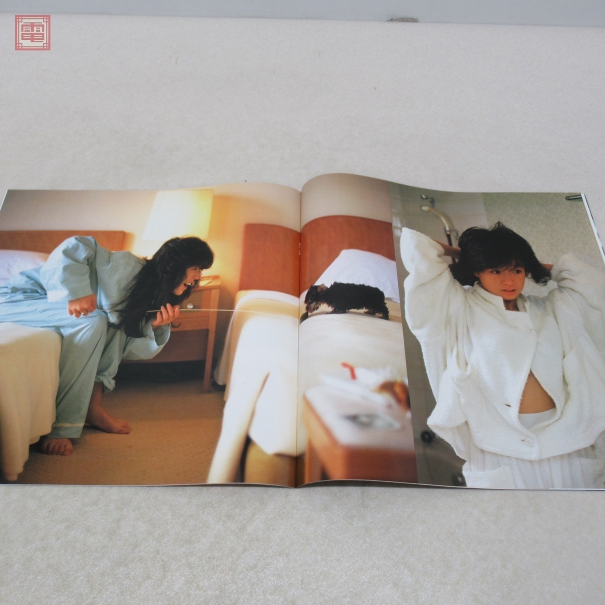 中森明菜 BITTER & SWEET パンフレット コンサート 半券 中森明菜