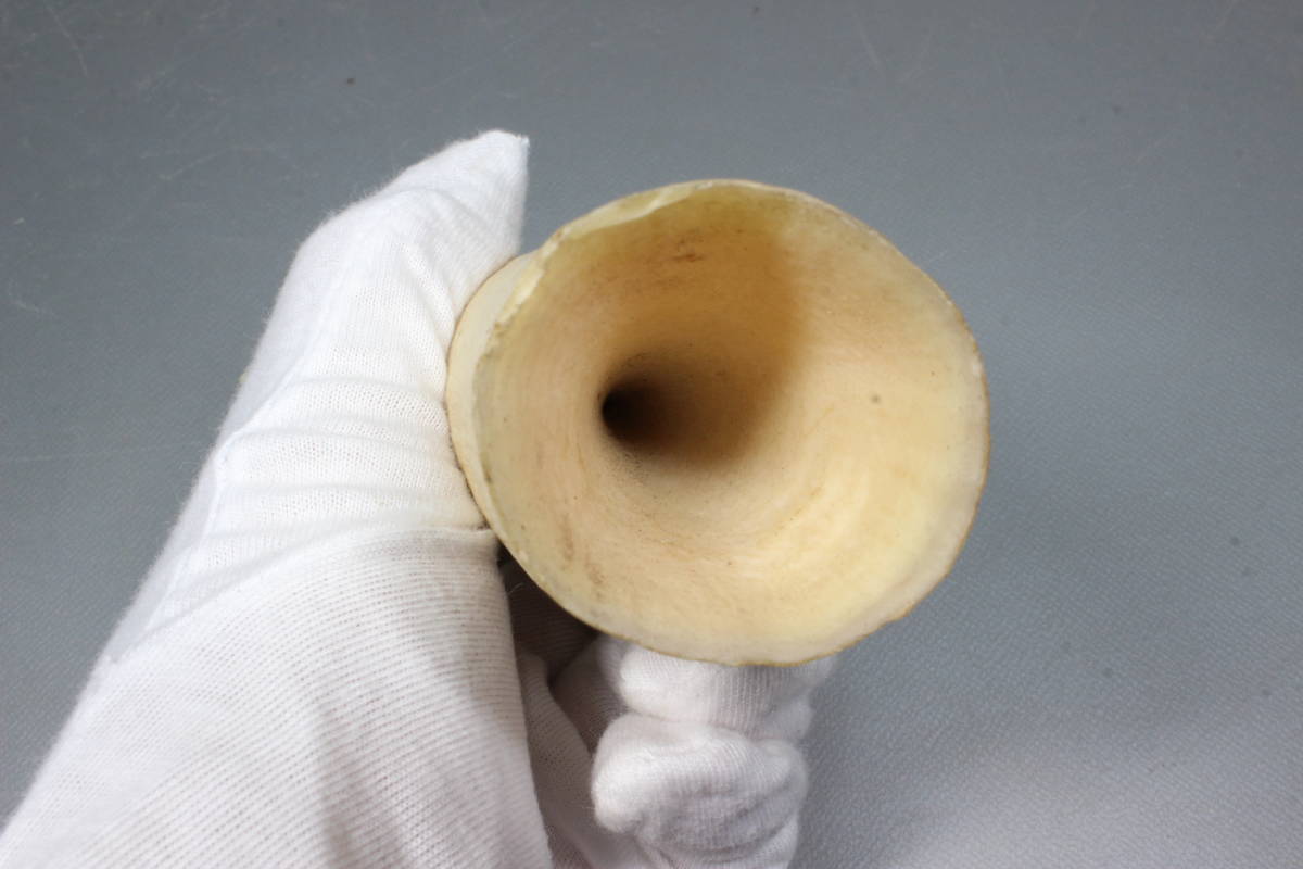 マッコウクジラ 抹香鯨 牙 鯨歯 希少 鯨の歯 重量96g レア マッコウ鯨