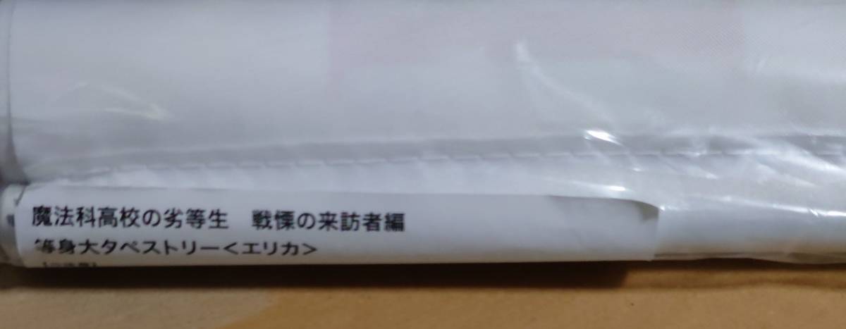 魔法科高校の劣等生 戦慄の来訪者編』千葉エリカ 等身大タペストリー 