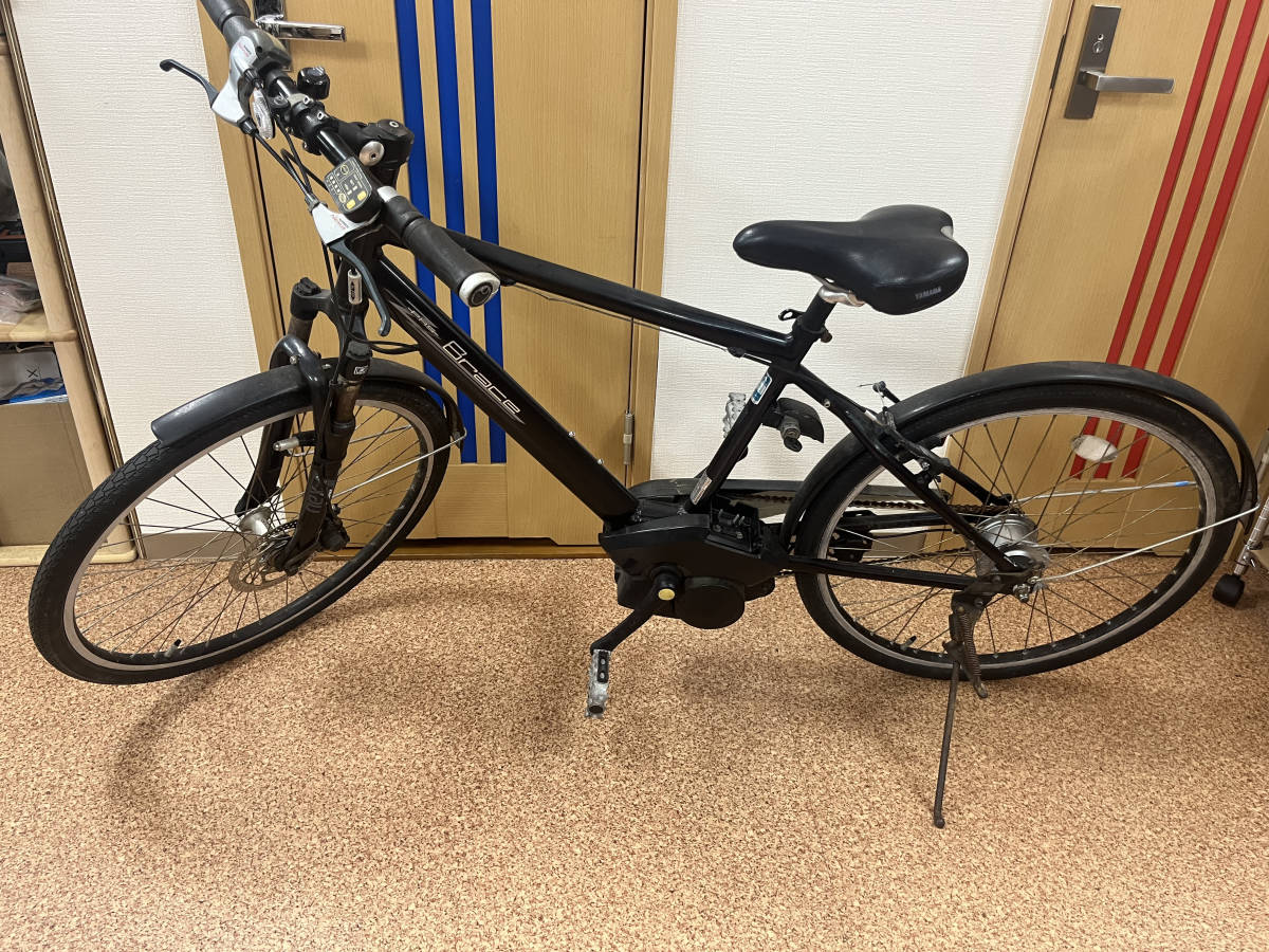 電動アシストパスブレイスジャンク