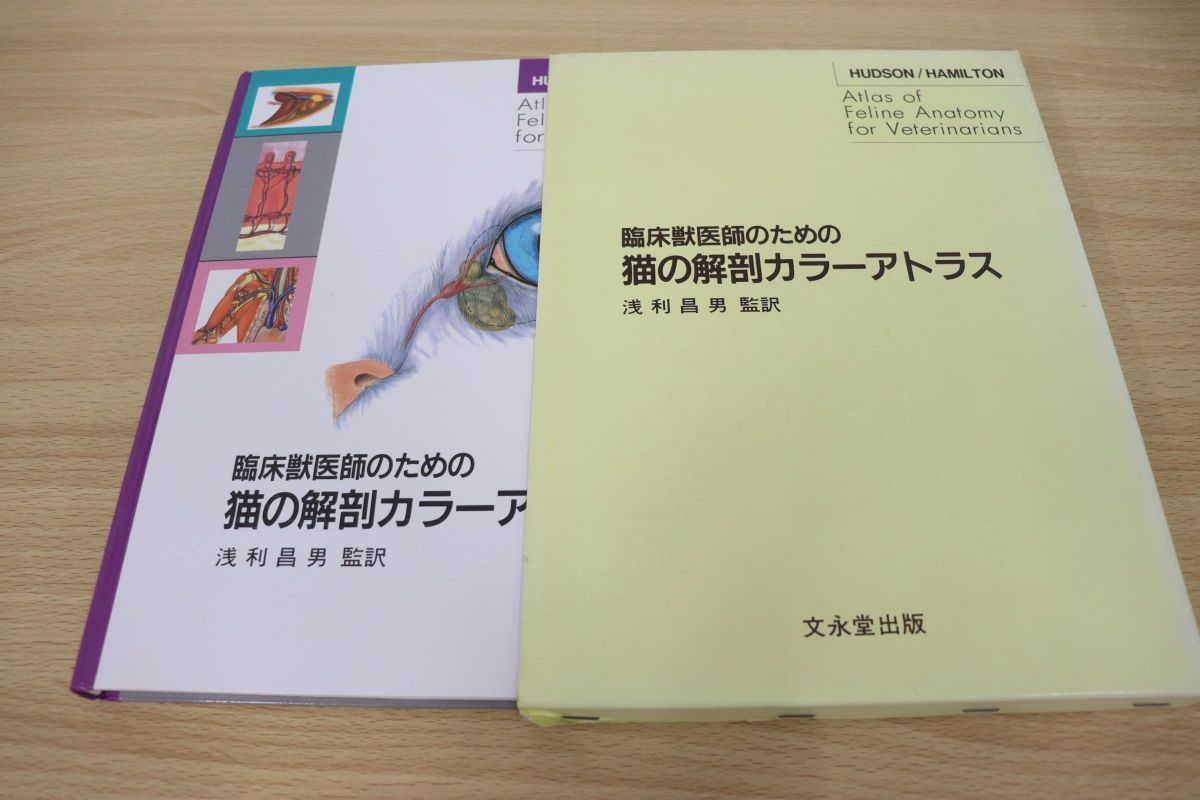 【美品】臨床獣医師のための猫の解剖カラーアトラス 美品】臨床獣医師のための猫の解剖カラーアトラス 美品臨床