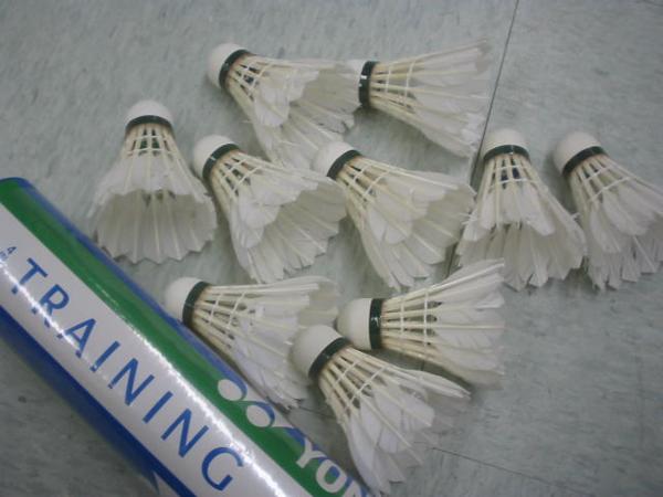 バドミントン ノック用シャトル 120個10ダース 運賃本州￥480 スポーツ
