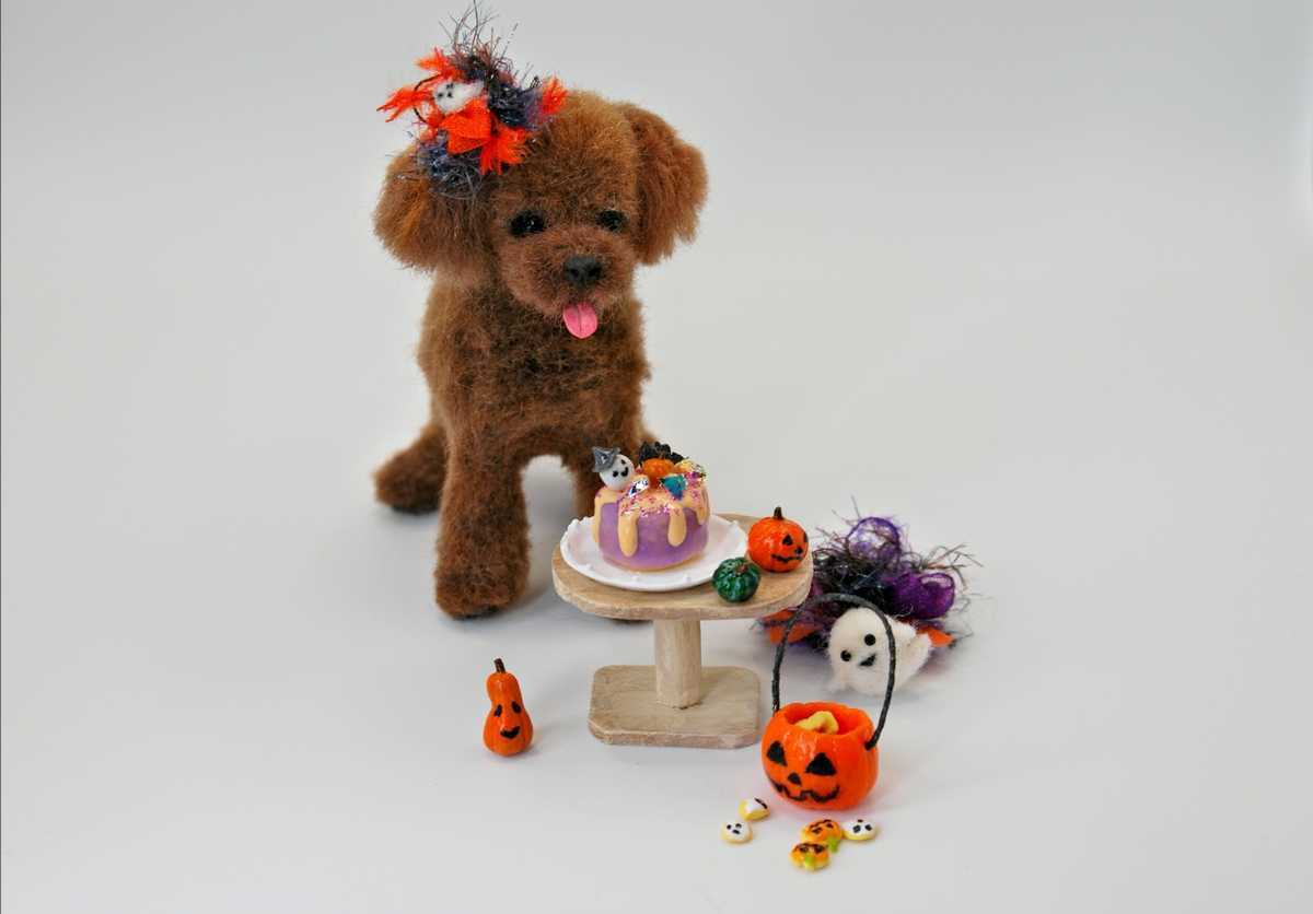羊毛フェルト トイプードル プードルちゃんのハロウィン ハロウィン 