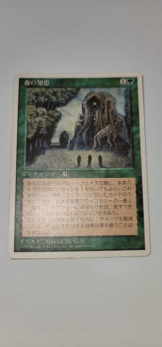 即決 MTG 森の知恵 Sylvan Library レジェンド 英語 パック出しMint