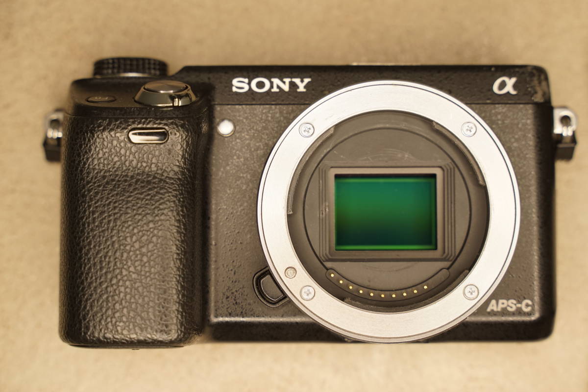 SONY | NEX-6とNEX-7を統合し、進化させた、α6000発表！ コール