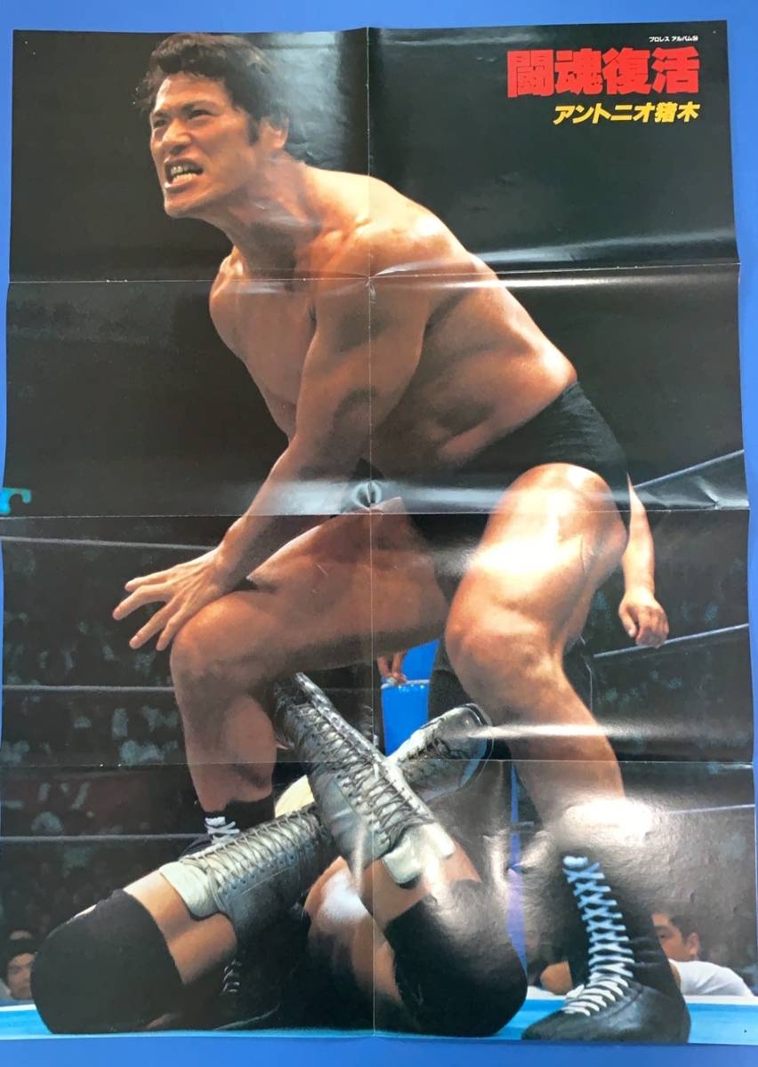 プロレスアルバム＃34 ガッツシリーズ№1 アントニオ猪木 立ち上がれ