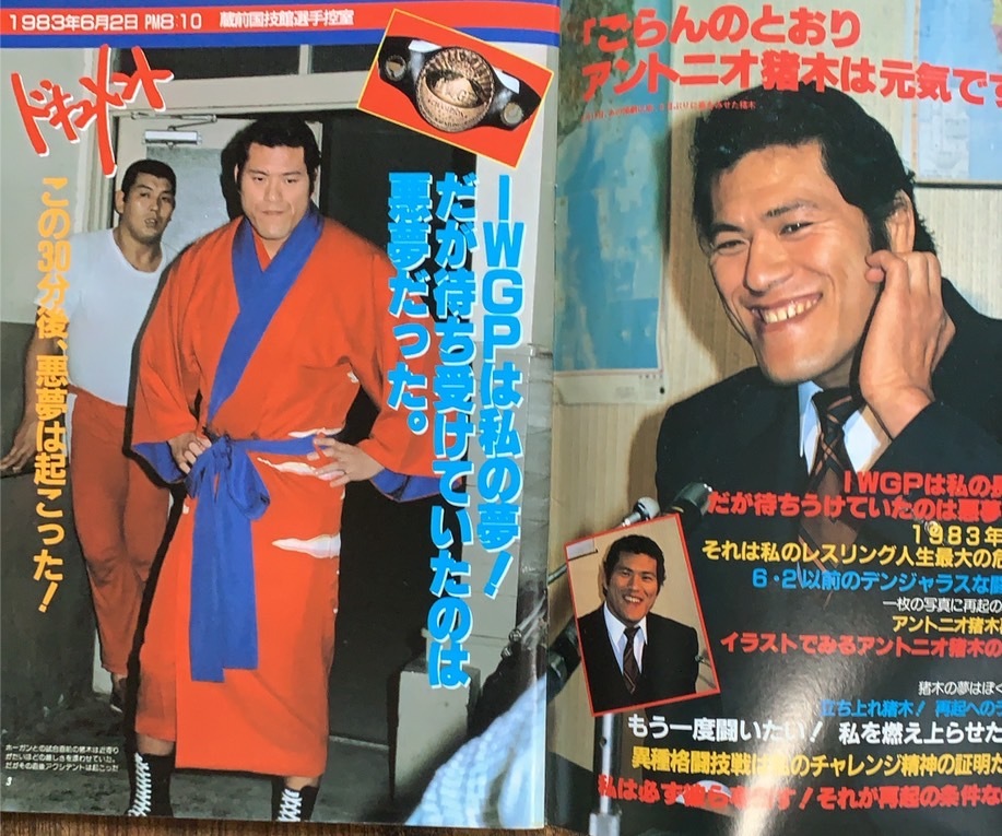 プロレスアルバム●立ち上がれアントニオ猪木ジャンボポスター付き プロレスアルバム＃34 ガッツシリーズ№1 アントニオ猪木 立ち上がれ