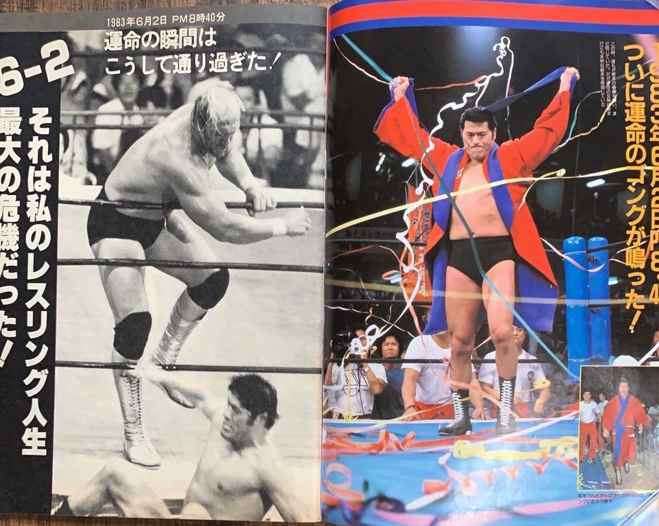 プロレスアルバム＃34 ガッツシリーズ№1 アントニオ猪木 立ち上がれ