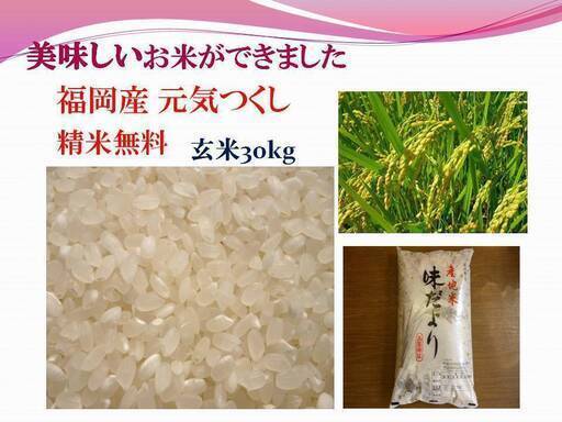 令和4年福岡県産米 元気つくし 玄米 30kg