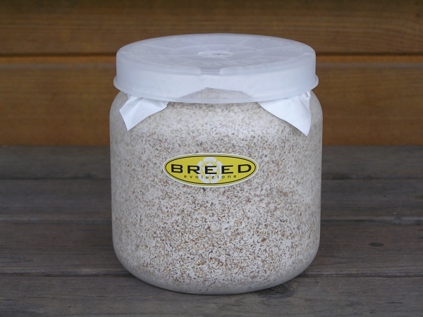 セール，品質保証 高品質 高性能 BREED菌糸ビン 1500ml 5本 ブリード 菌糸瓶 菌床 希望本数可能(マット、床材)｜売買されたオークション情報、yahooの商品情報をアーカイブ公開 - オークファン マット、床材