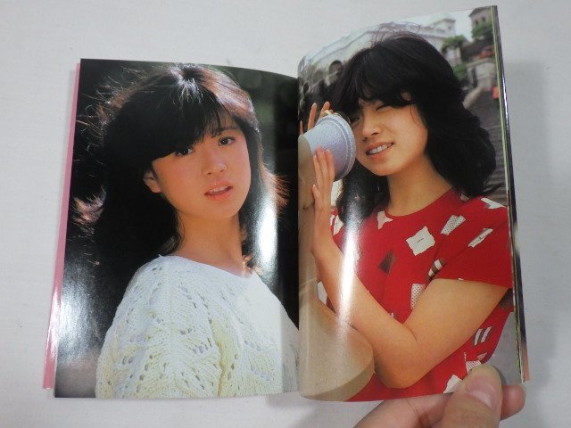 □559：中森明菜 AKINA FCコレクション1 1983年 ミルキーハウス□