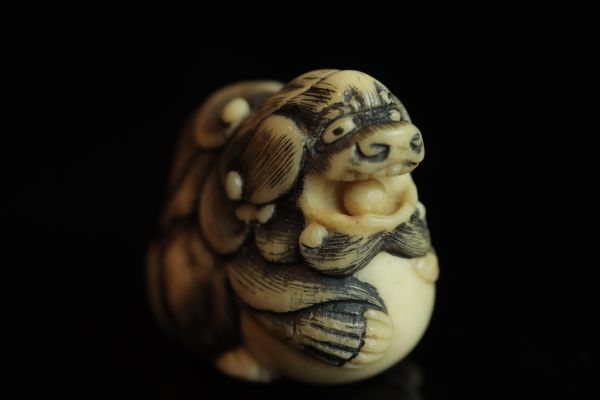 NOV007 牙彫根付 玉獅子根付 無銘 根付コレクション NETSUKE 提げ物