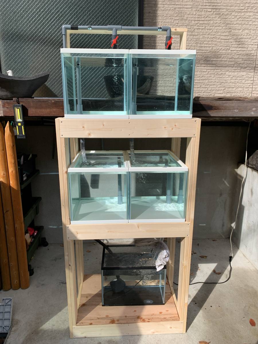 限定SALE，正規品 レア45㎝白底 ブリーダーさん用ミニマンション水槽 メダカ プレコ 繁殖 集中濾過 オーバーフロー セントラルヒーティング(セット)｜売買されたオークション情報、yahooの商品情報をアーカイ セット