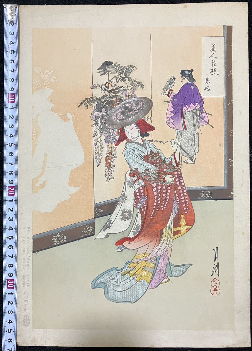 真作/本物 明治期 尾形月耕「美人花競 藤娘」浮世絵 木版画 美人図