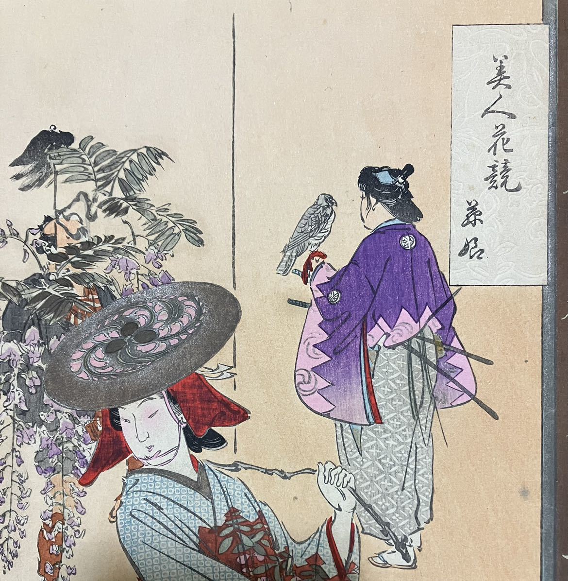 真作/本物 明治期 尾形月耕「美人花競 藤娘」浮世絵 木版画 美人図